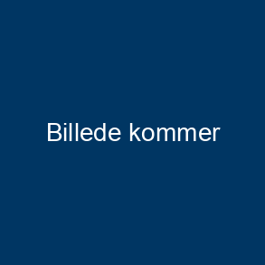 Film med Dansk Tale