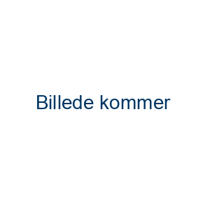 Film med Dansk Tale