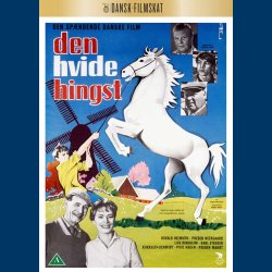 Den hvide hingst - DVD
