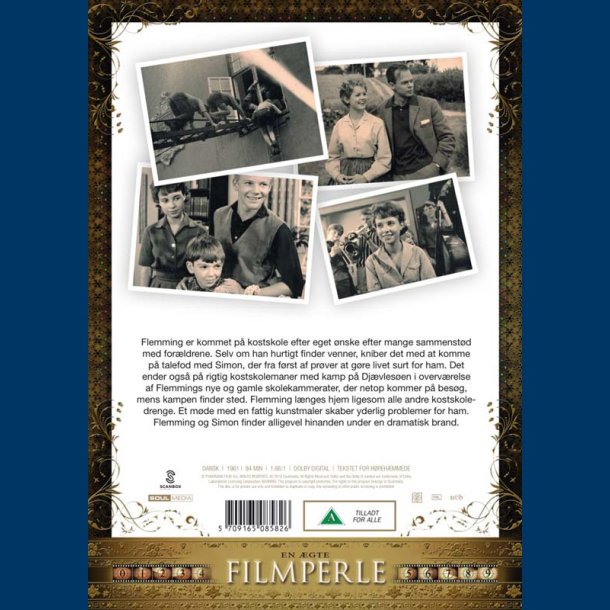 Flemming p kostskole