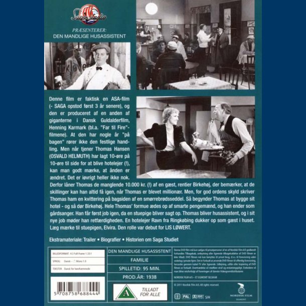 Den mandlige husassistent