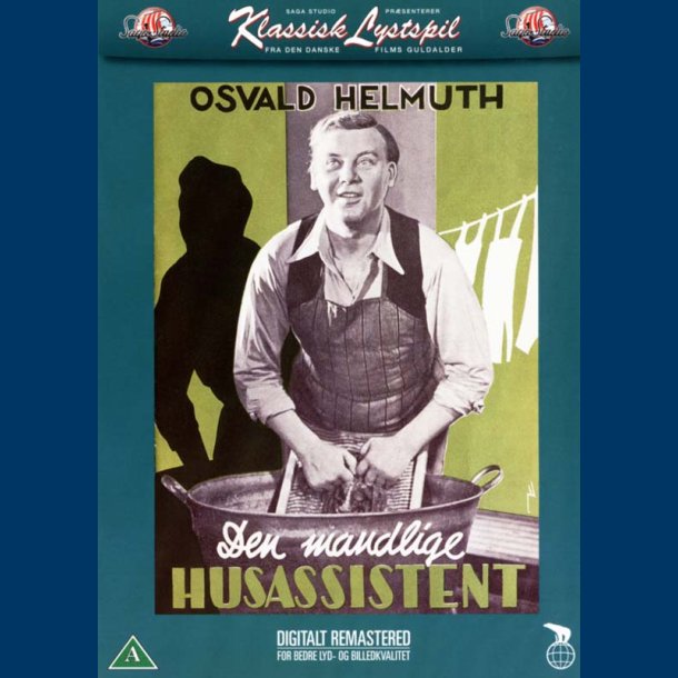 Den mandlige husassistent