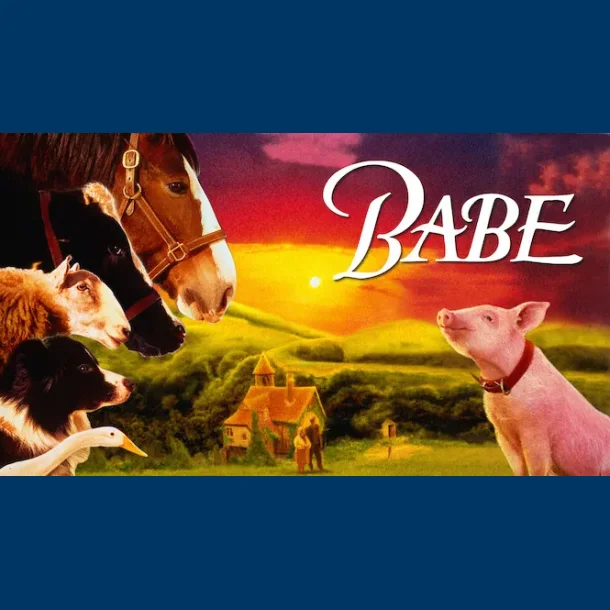 Babe den kkke gris - Brugt