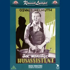 Den mandlige husassistent - Brugt