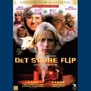 Det store flip - Brugt