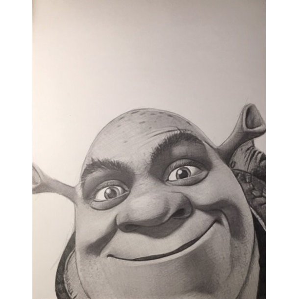 Portrt Tegning - Shrek