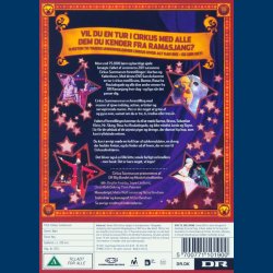 Cirkus Summarum 2011 - Brugt - Udget