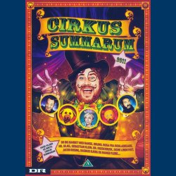 Cirkus Summarum 2011 - Brugt - Udget