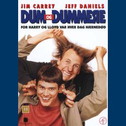Dum og Dummere - Brugt