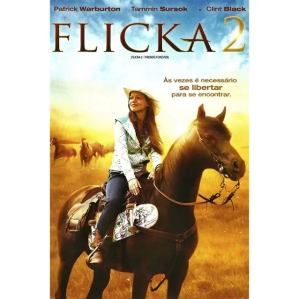 Flicka 2 - Brugt