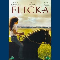 Flicka - Brugt